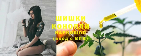 стафф Бронницы