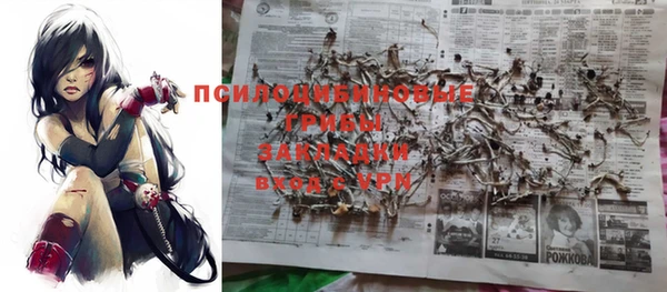 стафф Бронницы